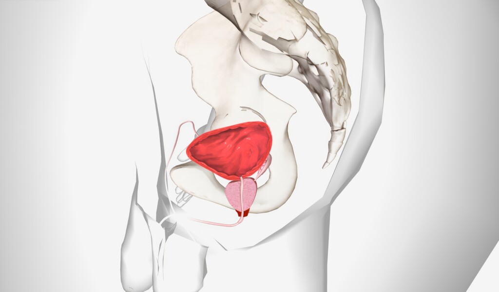 Vergrößerung der Prostata (Prostatahyperplasie)