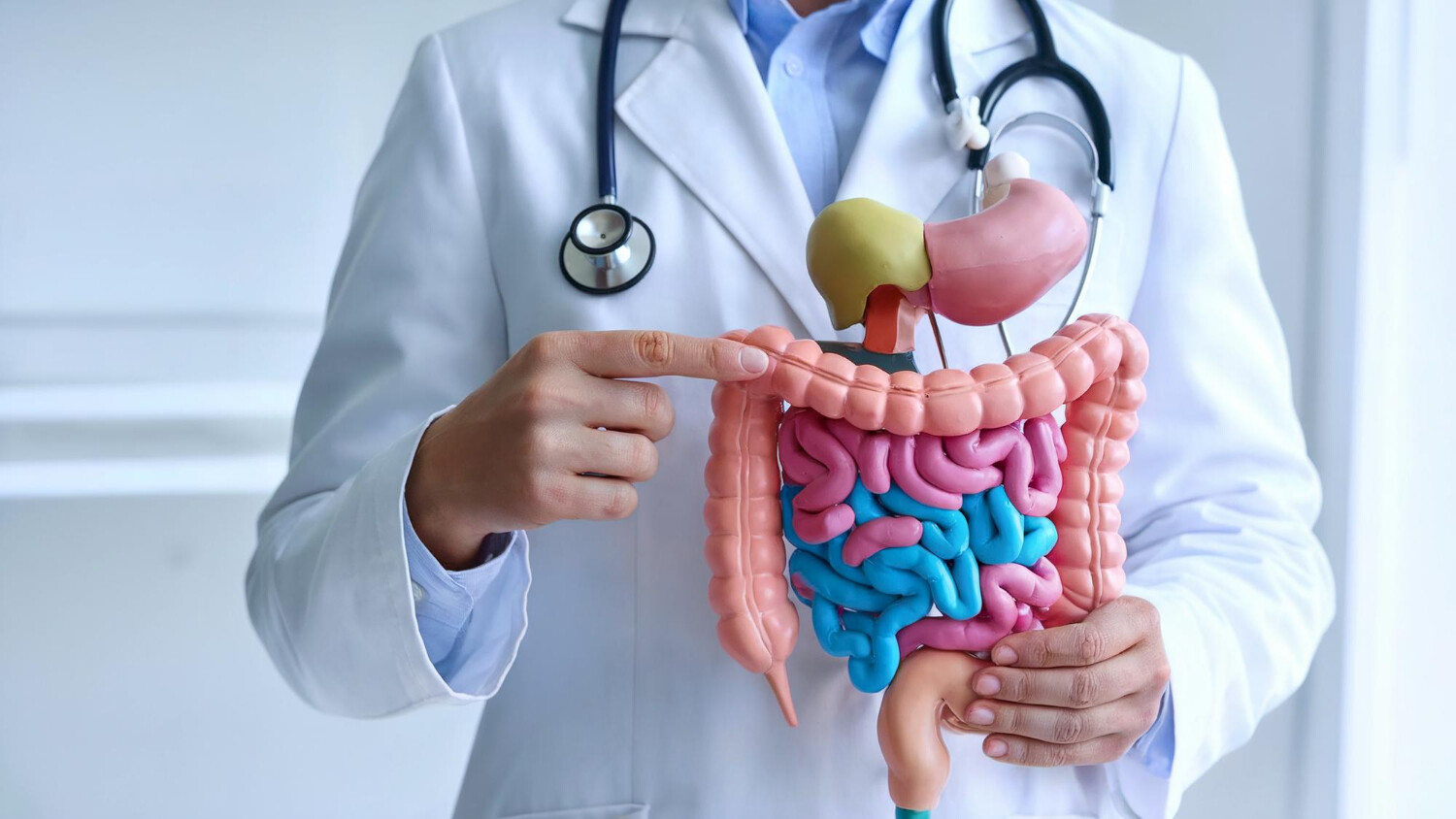 Gastroenterologie und Hepatologie
